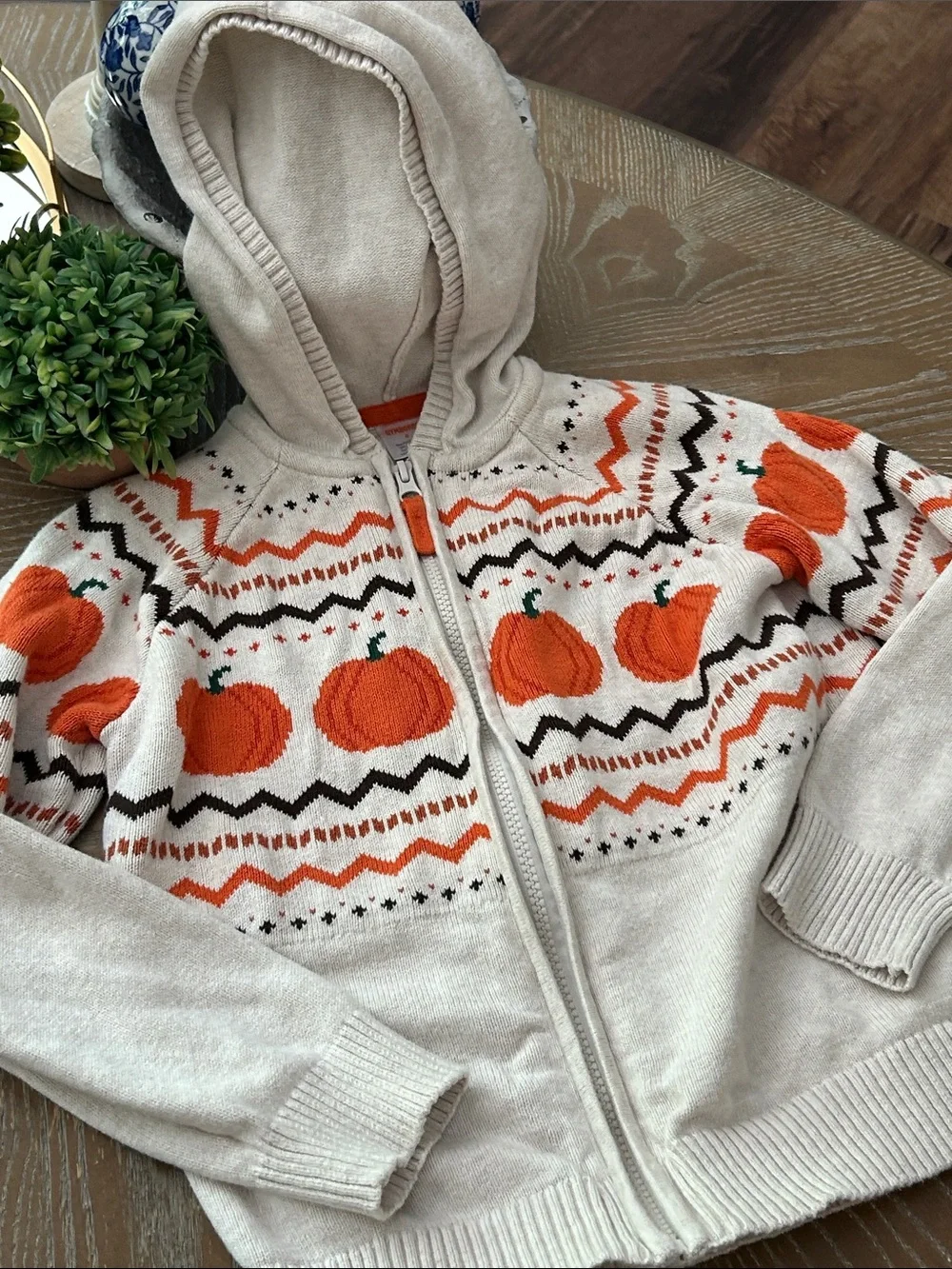 Gymboree Fall Harvest Pumpkin Cream Hooded Zip Cardigan Sweater